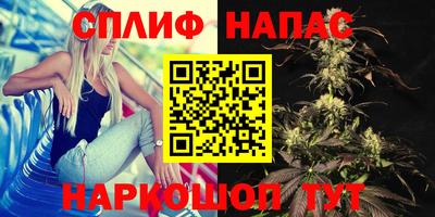 jwh Моздок