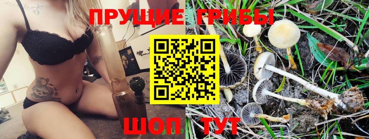 Новотроицк  Галлюциногенные грибы Magic Shrooms  Вход с VPN 